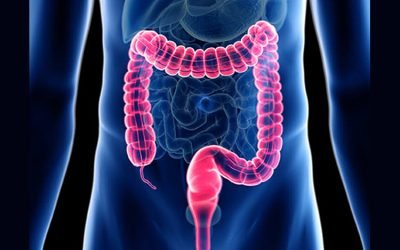 Effective Bowel Care Management