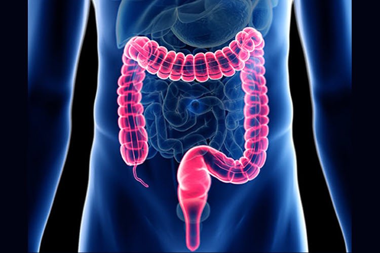 Effective Bowel Care Management